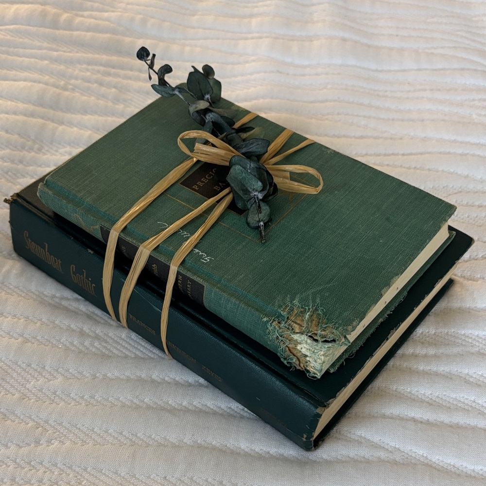 Vintage Precious Bane (1928) and Steamboat Gothic (1959) Books Decor